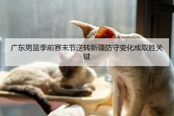 广东男篮季前赛末节逆转新疆防守变化成取胜关键